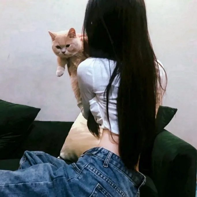 福星高照粤语